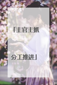 主官主抓 分工推进