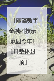 丽泽数字金融科技示范园今年11月整体封顶