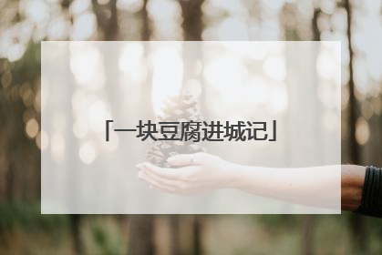 一块豆腐进城记