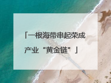 一根海带串起荣成产业“黄金链”