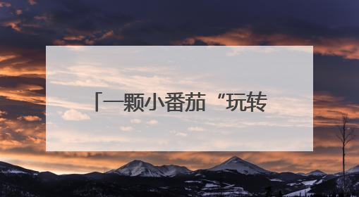 一颗小番茄“玩转”互联网 枝头鲜味变手头表情包