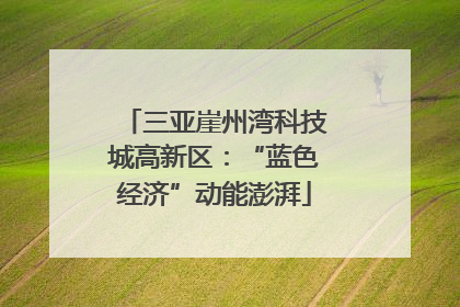 三亚崖州湾科技城高新区：“蓝色经济”动能澎湃
