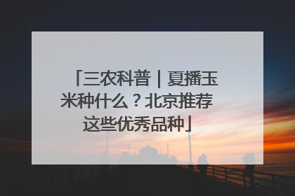 三农科普｜夏播玉米种什么？北京推荐这些优秀品种