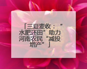 三夏麦收：“水肥还田”助力河南农民“减投增产”