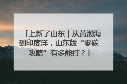 上新了山东｜从黄渤海到印度洋，山东版“零碳攻略”有多能打？