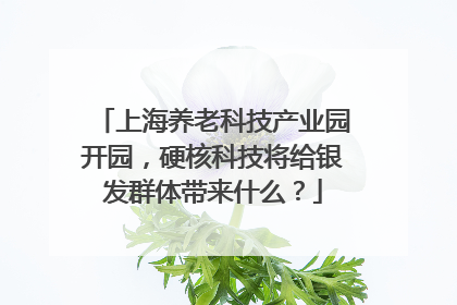 上海养老科技产业园开园，硬核科技将给银发群体带来什么？