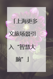上海更多文旅场景引入“智慧大脑”