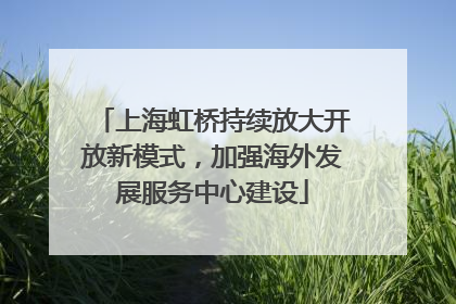 上海虹桥持续放大开放新模式，加强海外发展服务中心建设