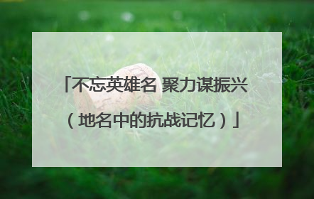 不忘英雄名 聚力谋振兴（地名中的抗战记忆）