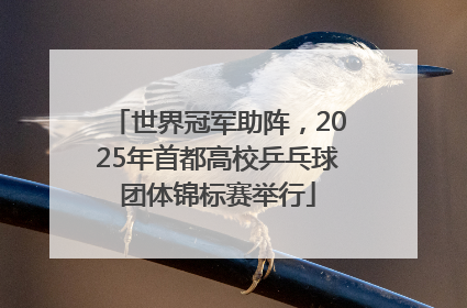 世界冠军助阵，2025年首都高校乒乓球团体锦标赛举行