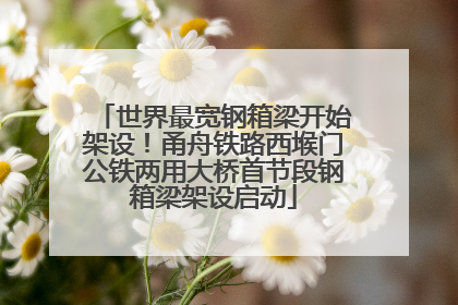 世界最宽钢箱梁开始架设！甬舟铁路西堠门公铁两用大桥首节段钢箱梁架设启动