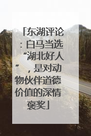 东湖评论：白马当选“湖北好人”，是对动物伙伴道德价值的深情褒奖