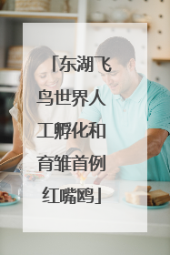 东湖飞鸟世界人工孵化和育雏首例红嘴鸥