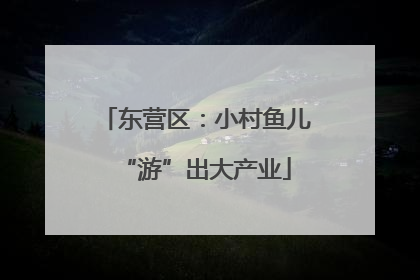 东营区：小村鱼儿“游”出大产业