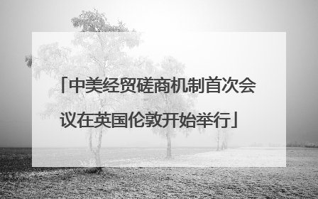 中美经贸磋商机制首次会议在英国伦敦开始举行