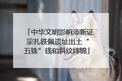 中华文明影响添新证 蒙扎铁佩遗址出土“五铢”钱和斜纹纬锦