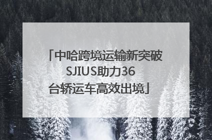 中哈跨境运输新突破 SJIUS助力36台轿运车高效出境