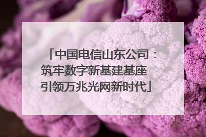 中国电信山东公司：筑牢数字新基建基座 引领万兆光网新时代