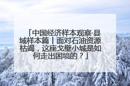 中国经济样本观察·县域样本篇丨面对石油资源枯竭，这座戈壁小城是如何走出困境的？