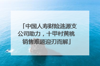 中国人寿财险涟源支公司助力，十甲村黄桃销售难题迎刃而解
