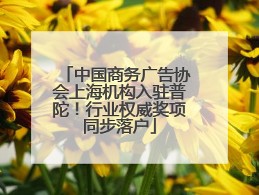 中国商务广告协会上海机构入驻普陀！行业权威奖项同步落户