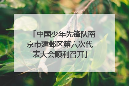 中国少年先锋队南京市建邺区第六次代表大会顺利召开