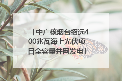 中广核烟台招远400兆瓦海上光伏项目全容量并网发电