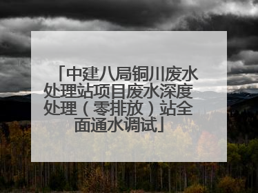 中建八局铜川废水处理站项目废水深度处理（零排放）站全面通水调试