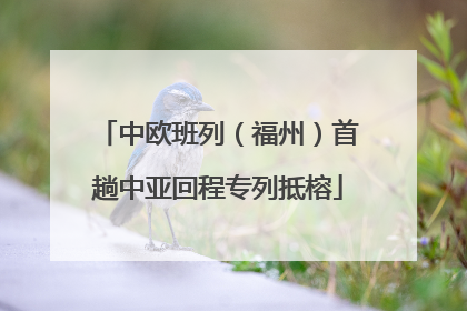 中欧班列（福州）首趟中亚回程专列抵榕
