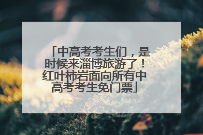 中高考考生们，是时候来淄博旅游了！红叶柿岩面向所有中高考考生免门票