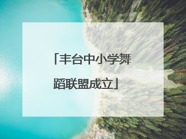 丰台中小学舞蹈联盟成立
