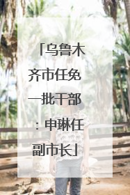乌鲁木齐市任免一批干部：申琳任副市长
