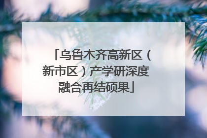 乌鲁木齐高新区（新市区）产学研深度融合再结硕果