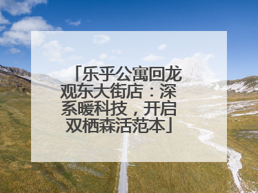 乐乎公寓回龙观东大街店：深系暖科技，开启双栖森活范本