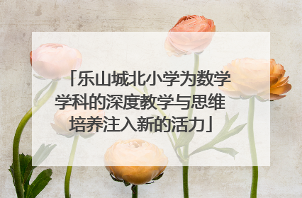 乐山城北小学为数学学科的深度教学与思维培养注入新的活力