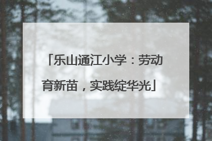 乐山通江小学：劳动育新苗，实践绽华光