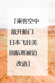 乘客空中欲开舱门 日本飞往美国航班被迫改道
