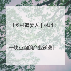乡村追梦人｜林丹：一块豆腐的产业逆袭