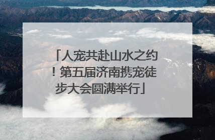 人宠共赴山水之约！第五届济南携宠徒步大会圆满举行