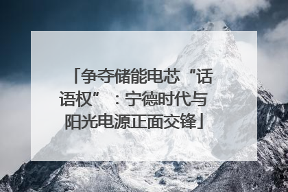 争夺储能电芯“话语权”：宁德时代与阳光电源正面交锋