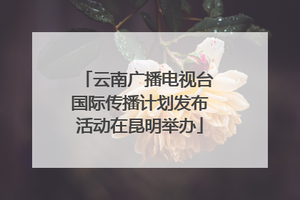 云南广播电视台国际传播计划发布活动在昆明举办