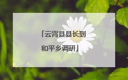 云霄县县长到和平乡调研