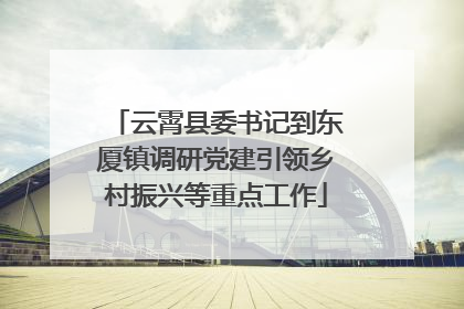 云霄县委书记到东厦镇调研党建引领乡村振兴等重点工作
