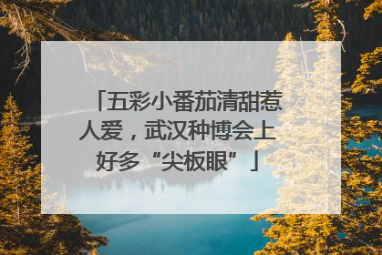 五彩小番茄清甜惹人爱，武汉种博会上好多“尖板眼”