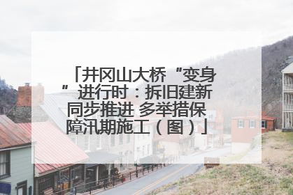 井冈山大桥“变身”进行时：拆旧建新同步推进 多举措保障汛期施工（图）