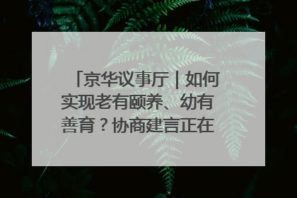 京华议事厅｜如何实现老有颐养、幼有善育？协商建言正在进行中……