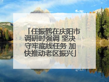任振鹤在庆阳市调研时强调 坚决守牢底线任务 加快推动老区振兴
