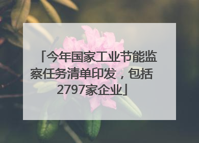 今年国家工业节能监察任务清单印发，包括2797家企业