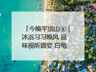 今晚平顶山⑧｜沐浴习习晚风 品味视听盛宴 白龟湖畔·草坪音乐会激情上演