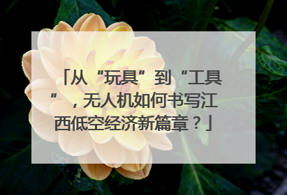 从“玩具”到“工具”，无人机如何书写江西低空经济新篇章？